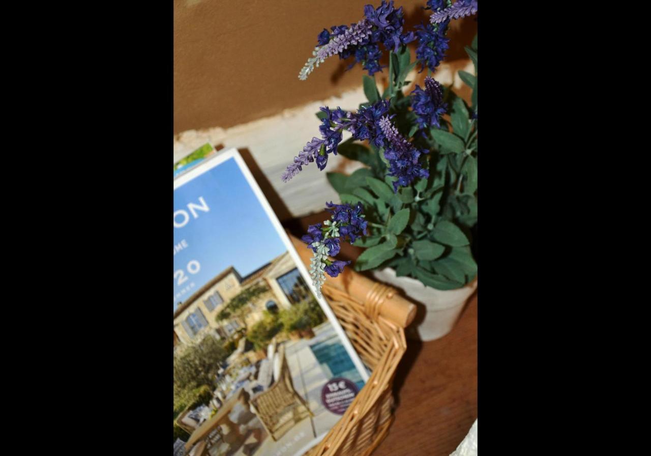 Neu! Ferienwohnung Romantique Radebeul Kültér fotó